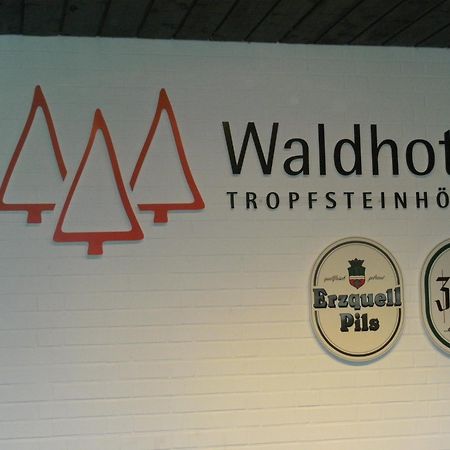 Waldhotel Tropfsteinhoehle Wiehl Buitenkant foto