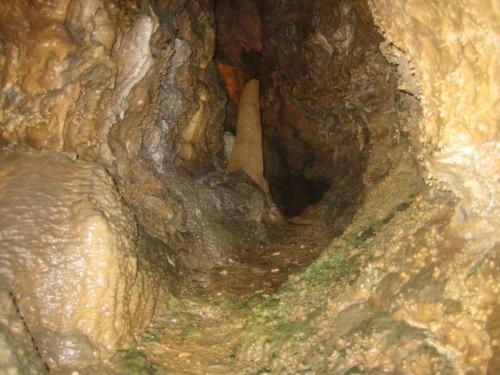 Waldhotel Tropfsteinhoehle Wiehl Buitenkant foto